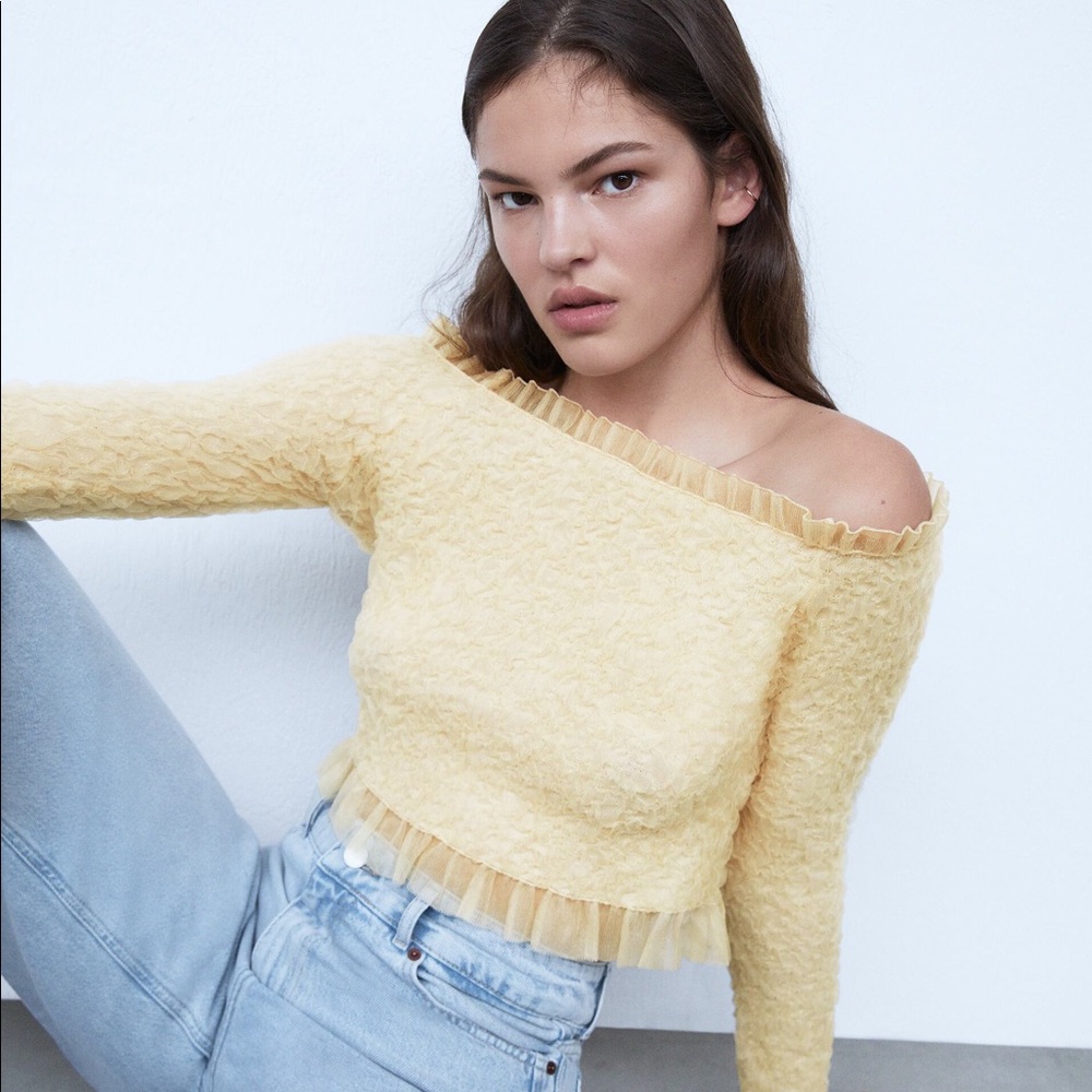 Zara Knit Organza Sweater